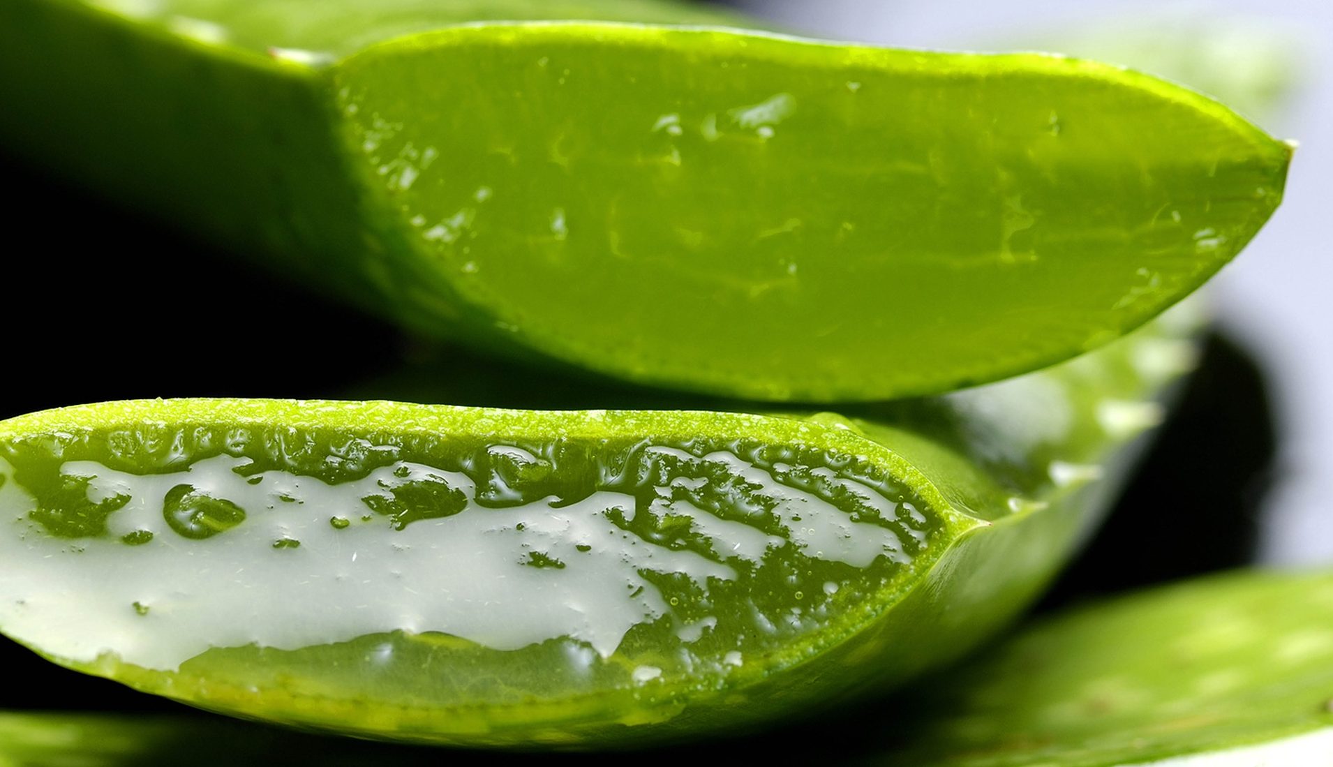 DIY Fresh Aloe Vera Shave Gel