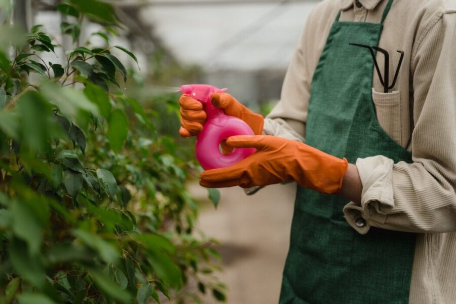 DIY All-Natural Pest Repellant Spray