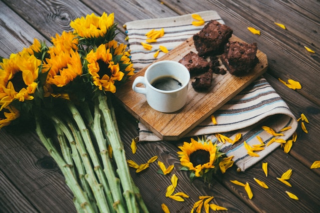 Fudgy Pumpkin Spice Brownies – Paleo