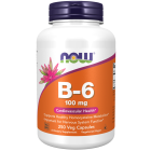 NOW Foods Vitamin B-6 100 mg - 250 Veg Capsules