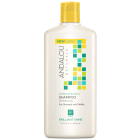 Andalou Naturals Sunflower & Citrus Brilliant Shine Shampoo, 11.5 fl. oz.