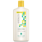 Andalou Naturals Sunflower & Citrus Brilliant Shine Conditioner, 11.5 fl. oz.
