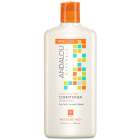 Andalou Naturals Argan Oil and Shea Moisture Rich Conditioner, 11.5 fl. oz.
