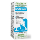 Ollopets Dental Care - Main
