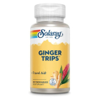 Solaray Ginger Trips - Main