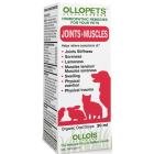 Ollopets Joints & Muscles - Main
