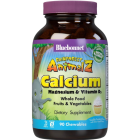 Rainforest Animalz Calcium, Magnesium & Vit D3 for Children, 90 Chewables