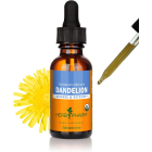 Dandelion Herb Extract  1 oz