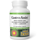 Natural Factors Gastro-Assist - Main