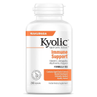 Kyolic Garlic With Vitamin C And Astragulus Formula 103, 200 Capsules - Front view