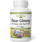 Natural Factors Panax Ginseng - Main