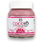 GT's CocoYo Coconut Yogurt, Raspberry