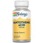 Solaray Pantothenic Acid, 250mg, 100 capsules