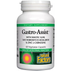 Natural Factors Gastro-Assist - Main