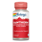 Solaray Hawthorn Cardiovascular Support - Main