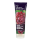 Desert Essence Organics Italian Red Grape Conditioner, 8 fl. oz.