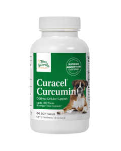 Terry Naturally Curacel Curcumin - Main