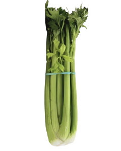 Organic Celery