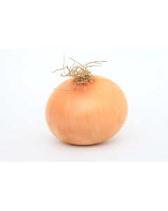 Organic Jump Yellow Onion