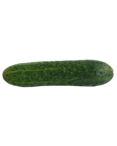 Organic Cucumber