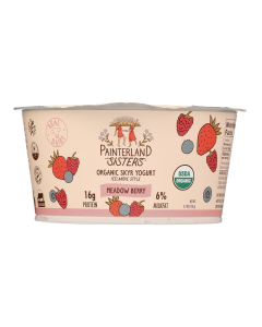 Painterland Sisters Organic Meadow Berry Icelandic Style Skyr Yogurt - Front view