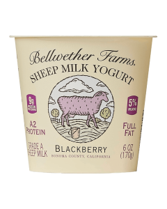 Bellwether Farms Blackberry Sheep Milk Yogurt - Front view