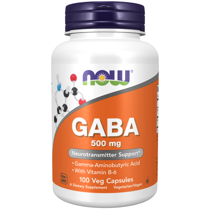 NOW Foods GABA 500 mg + B-6 - 100 Veg Capsules