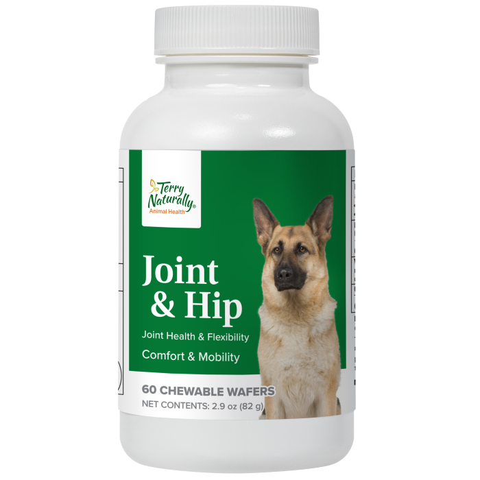 Terry Naturally Joint & Hip for Dogs - Main