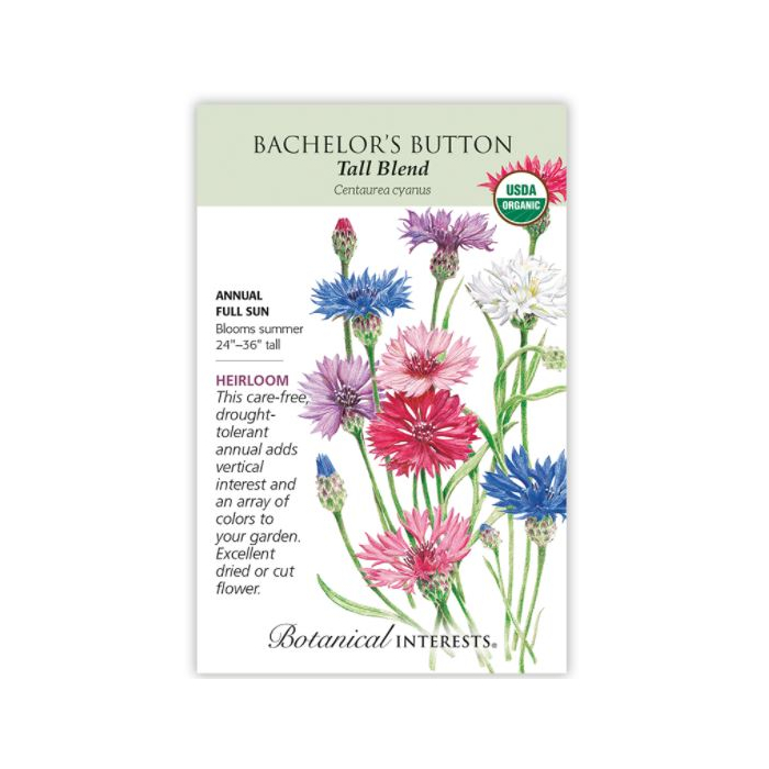 Botanical Interests Bachelors Button - Main