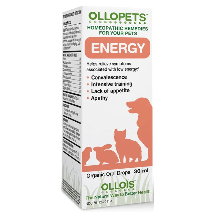Ollopets Energy - Main
