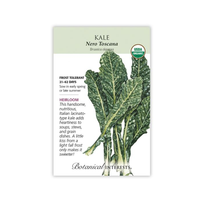 Botanical Interest Kale Nero Toscana - Main