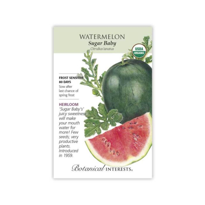 Botanical Interests Watermelon Sugar Baby - Main