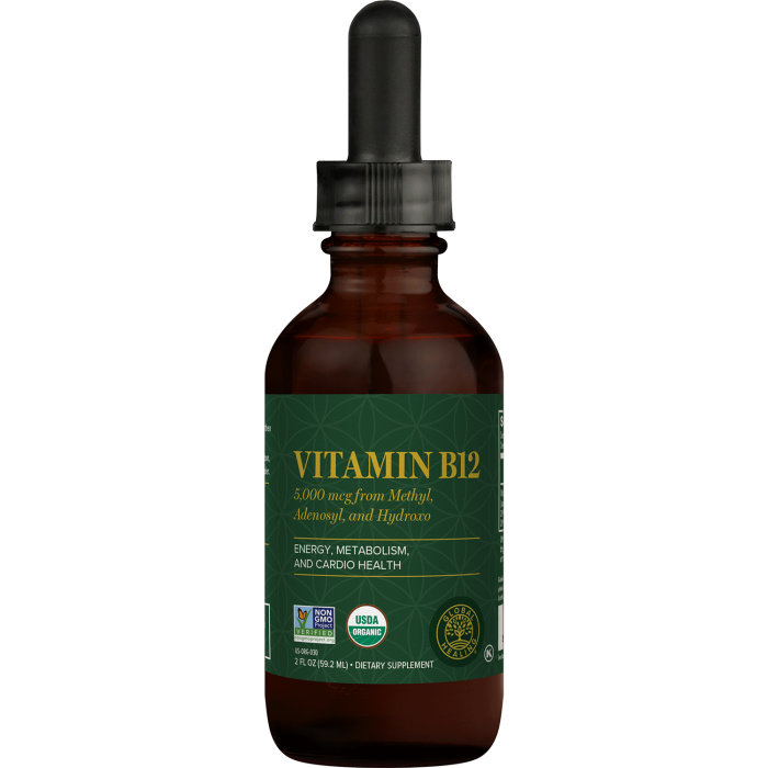Global Healing Organic Vitamin B12 5,000 mcg Liquid - Front view